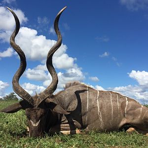 Hunt Kudu South Africa