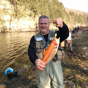 Fishing Palomino Trout in Pocono region of Pennsylvania