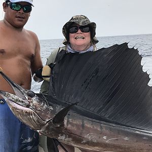 Tammy's sailfish