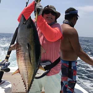 Yellow fin tuna