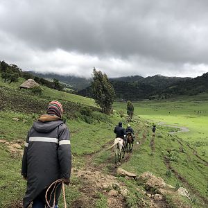 Hunting Ethiopia