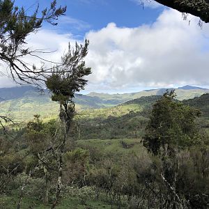 Hunting in Ethiopia