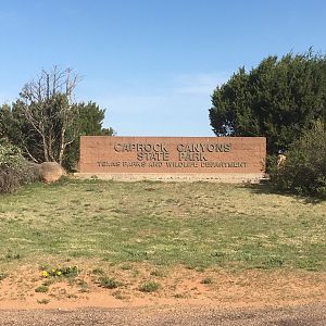 Caprock Canyons State Park