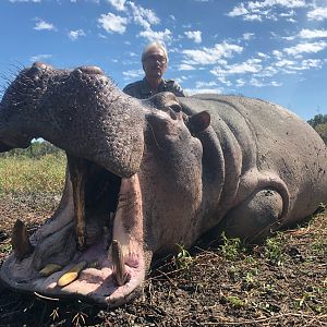 Zimbabwe Hunt Hippo