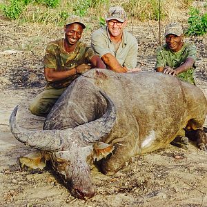 West African Savannah Buffalo Hunting in Benin