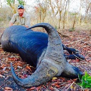 Hunt West African Savannah Buffalo Benin