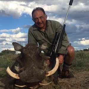 South Africa Hunt Warthog