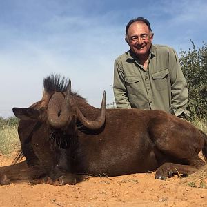 Hunting Black Wildebeest in South Africa