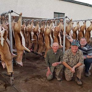 Cull Hunt Springbok in South Africa