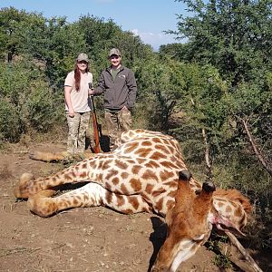 South Africa Hunting Giraffe