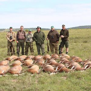 South Africa Cull Hunting Blesbok