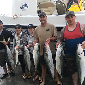 Yellowtail & Kabeljou Fishing South Africa