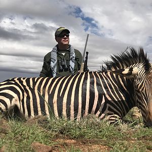 Hartmann's Mountain Zebra Hunt Namibia