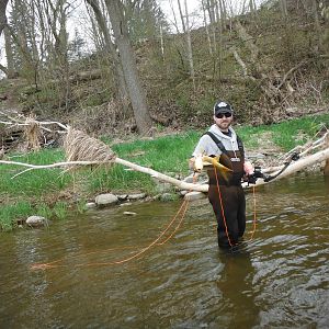 Bow Fishing Carp