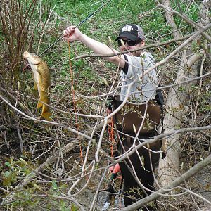 Bow Fishing Carp