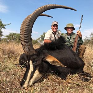 South Africa Hunting Sable Antelope