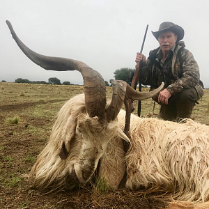 Wild Goat Hunt Argentina