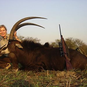 Hunt Sable Antelope