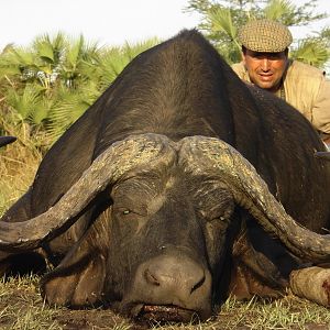 Cape Buffalo Hunting