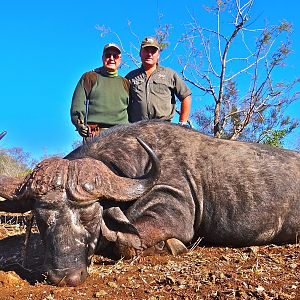 Hunting Cape Buffalo