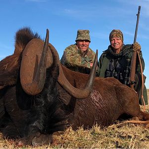 South Africa Hunting Black Wildebeest