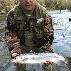 Steelhead Fishing USA