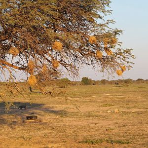 Namibia