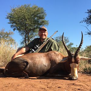 Hunting Blesbok South Africa