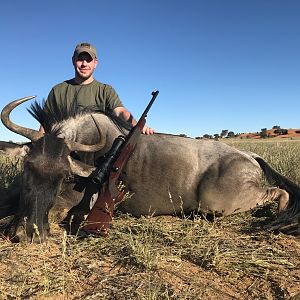 Blue Wildebeest Hunting in Namibia