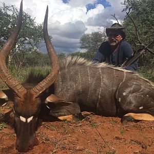 South Africa Hunt 29" Inch Nyala