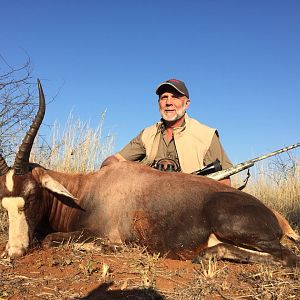 South Africa Hunting Blesbok