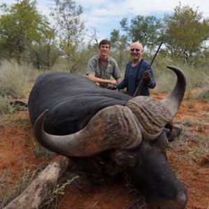 Hunt Cape Buffalo South Africa