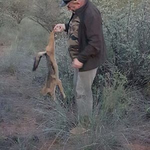 Hunting Jackal in South Africa