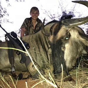 South Africa Hunt Blue Wildebeest