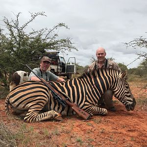 South Africa Hunting Burchell's Plain Zebra