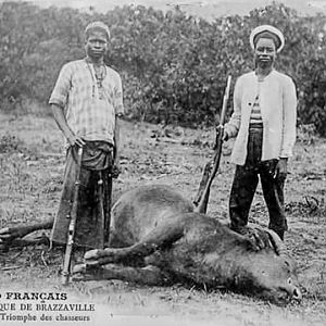 Congo Buffalo Hunt