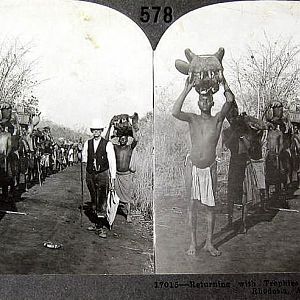 Hunting Trophies Rhodesia