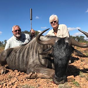 South Africa Hunt Blue WIldebeest