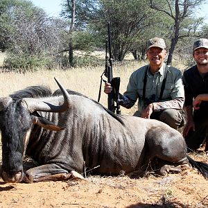 Namibia Hunting Blue Wildebeest