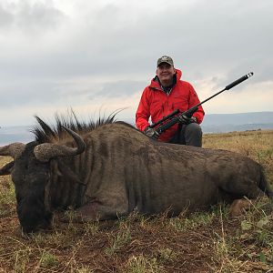 Blue Wildebeest Hunting in South Africa