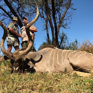 Kudu Hunt South Africa