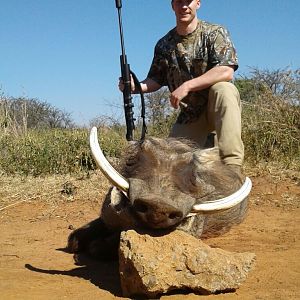 Warthog Hunting South Africa