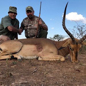 South Africa Hunting Impala