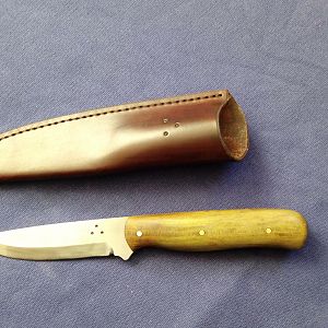 Swamp Kauri Bushcraft Hunter Knife