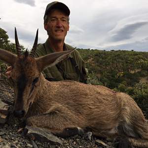 Duiker Hunt South Africa