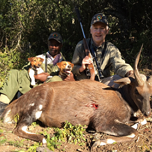 Hunting Bushbuck in South Africa