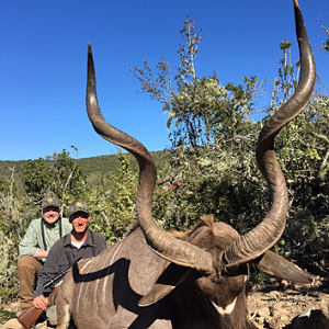 South Africa Hunting Kudu