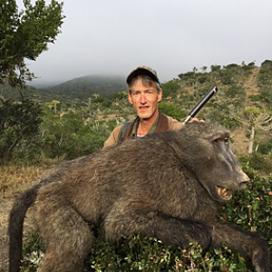 South Africa Hunt Baboon