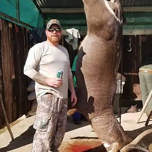 Waterbuck Hunting South Africa