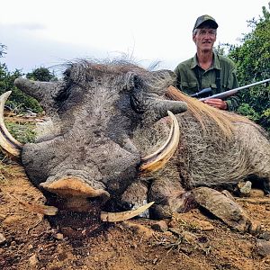 Hunting Warthog South Africa